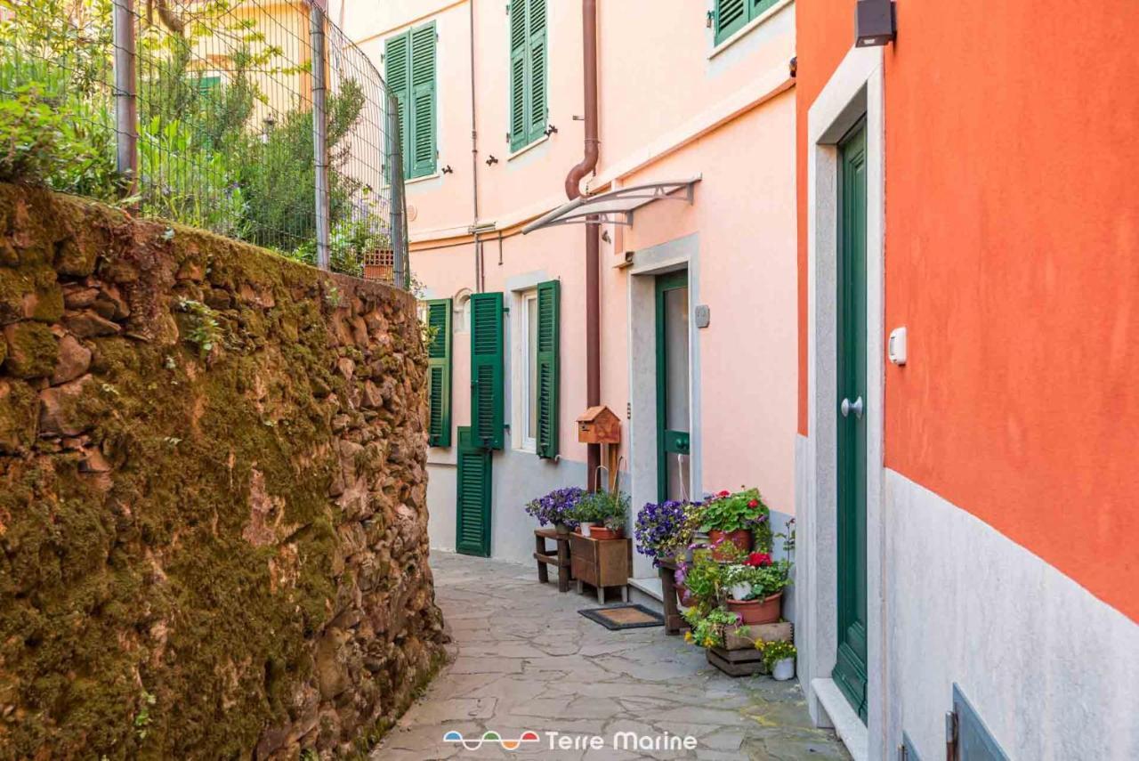 Nonna Pina Apartment Volastra Luaran gambar